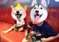 制造业招聘讲师文案（制造业招聘宣讲专家文案）